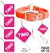 "Timid" Alert Tag - Pack of 25 - Alert - Timid
